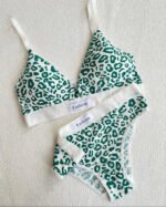 Leopard Chic Bra Set - Image 2